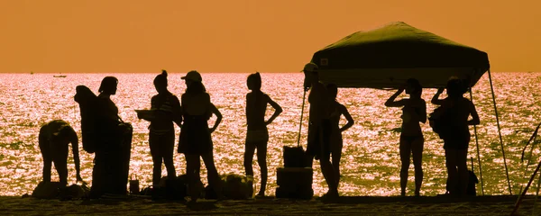 Amigos en la playa — Foto de Stock