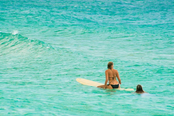 Surfování dáma — Stock fotografie