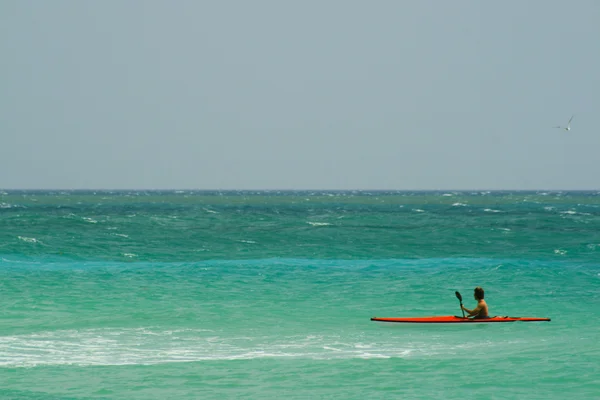 Kayaki — Foto Stock