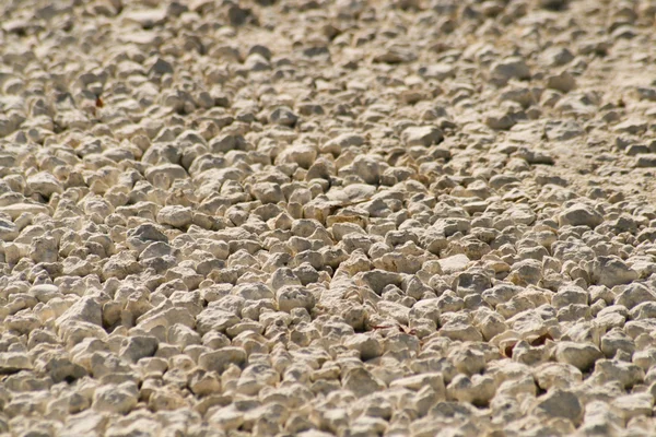 stock image Rocky terrain