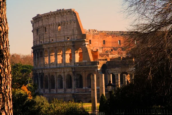 Colosseo — Stok Foto