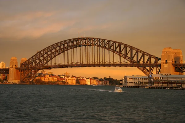 Pont de Sydney au coucher du soleil — Photo