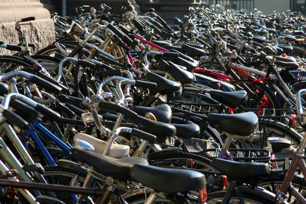 stock image Bycicles