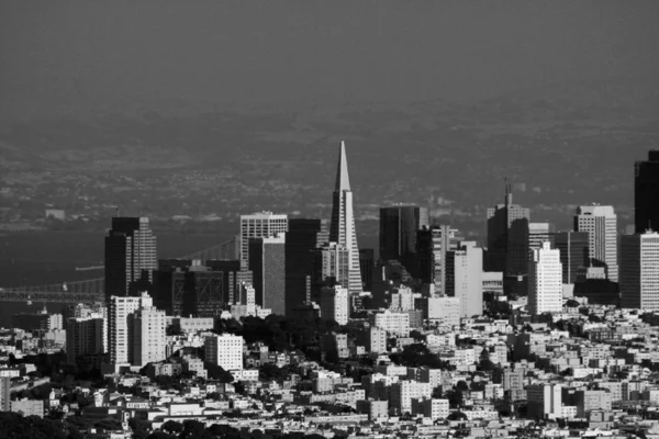 Transamerica Building at day light on black and white photograph — Stock Photo, Image