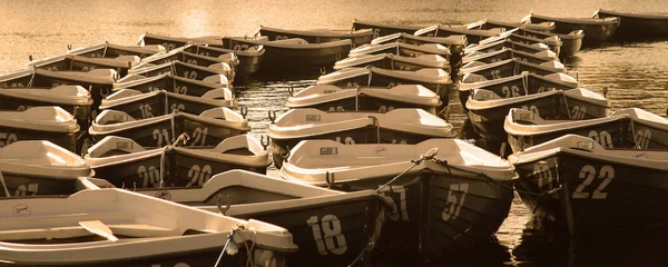 Hundert Boote — Stockfoto