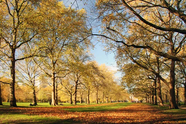 Парк Отумн в Лондоне — стоковое фото
