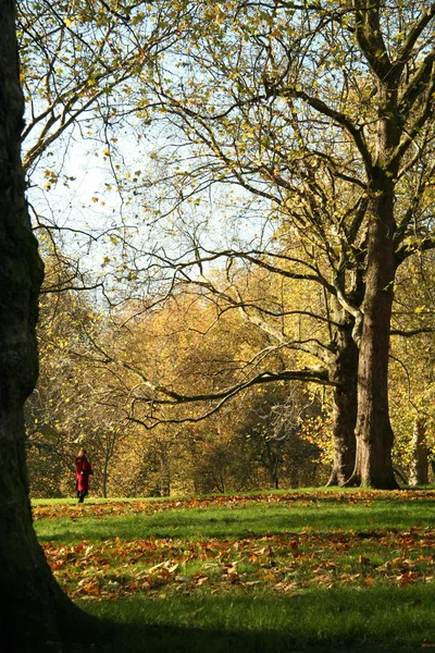 Маленькое красное пальто в парке — стоковое фото
