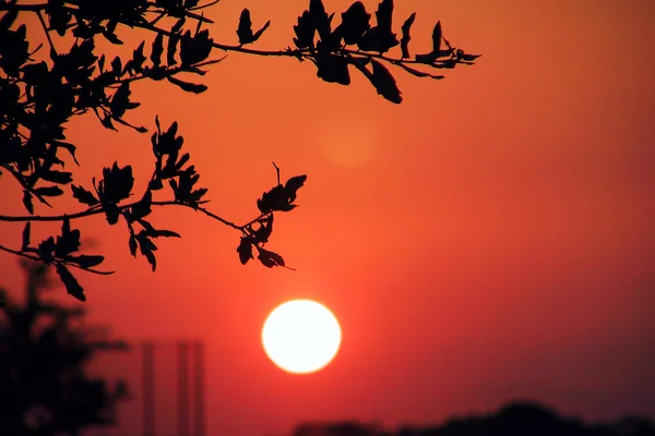 Pôr do sol vermelho — Fotografia de Stock
