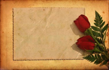 Romantic vintage paper with roses and frame clipart