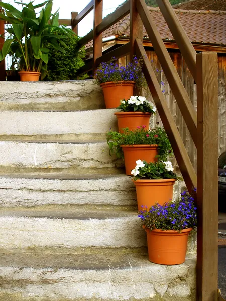 Лестницы в альпийском доме с цветочными горшками Стоковое Изображение