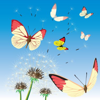 batterfly ve çiçekler.