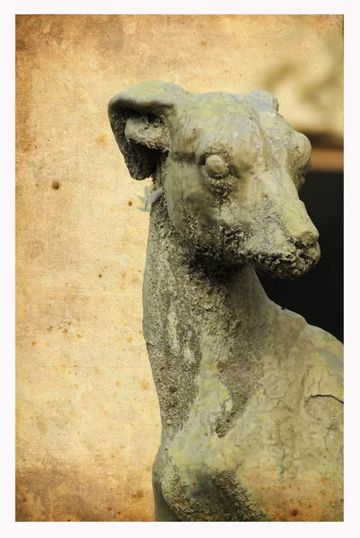 Cane di pietra — Foto Stock