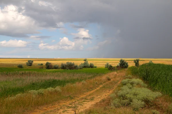 stock image Steppe