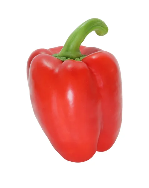 stock image Pepper