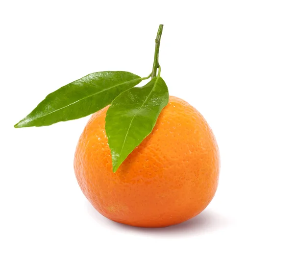 Спелый мандарин оранжевый с двумя зелеными листьями — стоковое фото