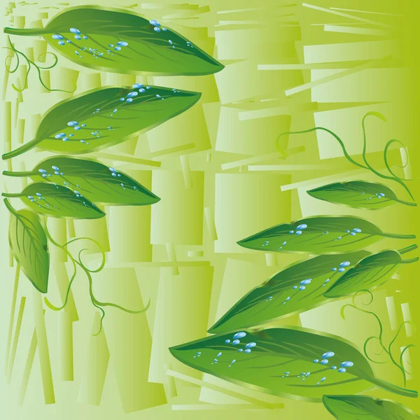 Fondo verde abstracto con hojas y gotas de agua — Archivo Imágenes Vectoriales