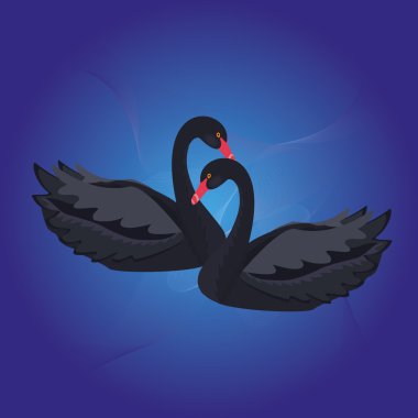 Two black swans clipart