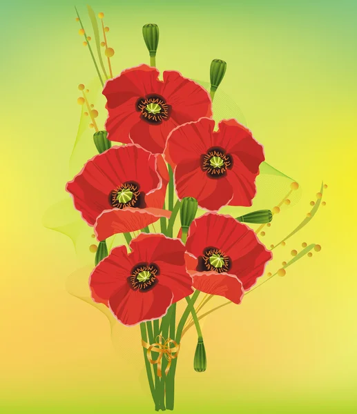 束美丽的红罂粟 — 图库矢量图片