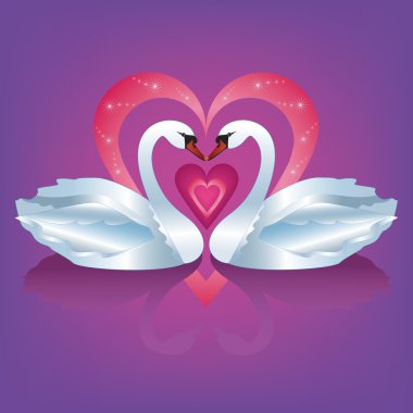 Two white swans in love clipart