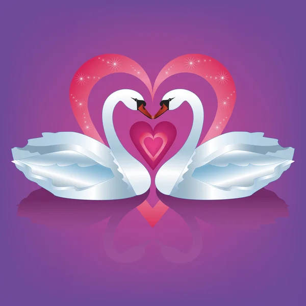 Två vita svanar i kärlek — Stock vektor