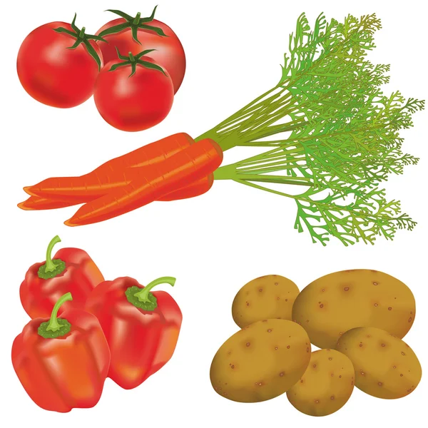 Conjunto de vegetais realistas —  Vetores de Stock