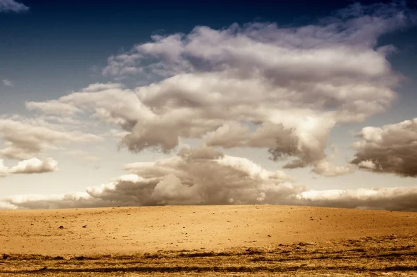 Wigry_Landscape_07