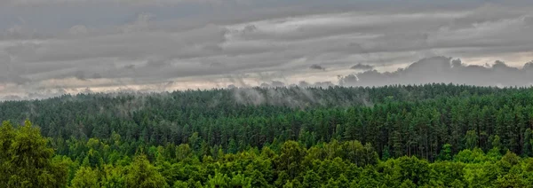 Wigry_Landscape_20