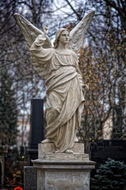 Angel_08