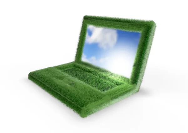 Gräsbevuxen laptop — Stockfoto