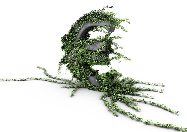 Ivy euro simgesi — Stok fotoğraf
