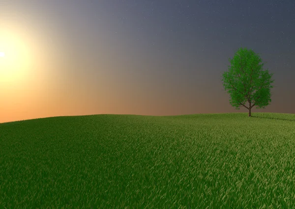 stock image Lonely tree