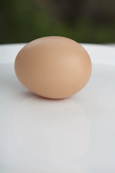 Ovos de galinha