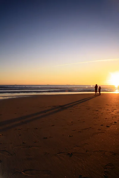 Stock image Sunset