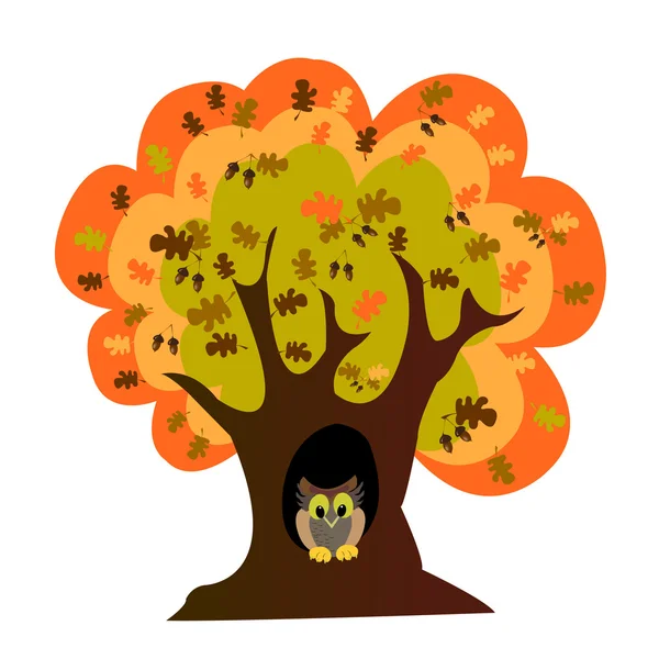 Autumn oak- tree and owl — Stock Vector