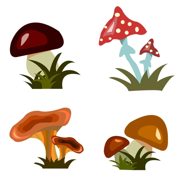 Stock vector Collection of mushrooms