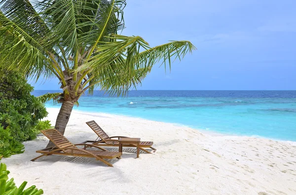 берег шезлонг пальма shore chaise lounge Palma без смс