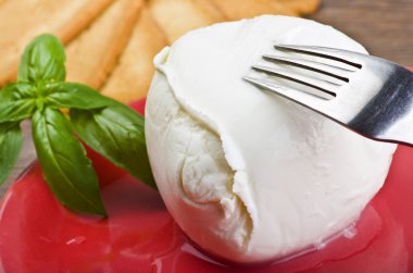 Buffalo mozzarella