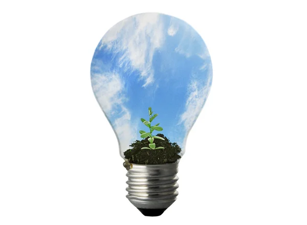 Eco energie lamp — Stockfoto