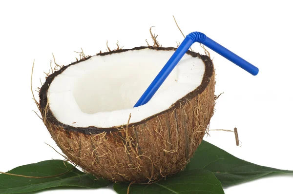 stock image Coconut with leaves