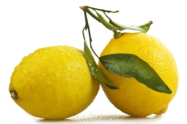 Dva citrony — Stock fotografie