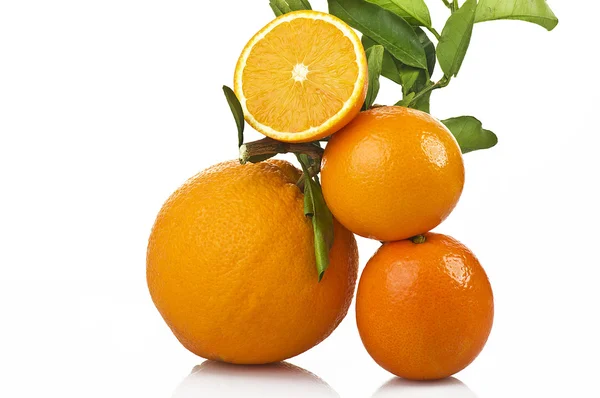 Grote natuurlijke oranje — Stockfoto