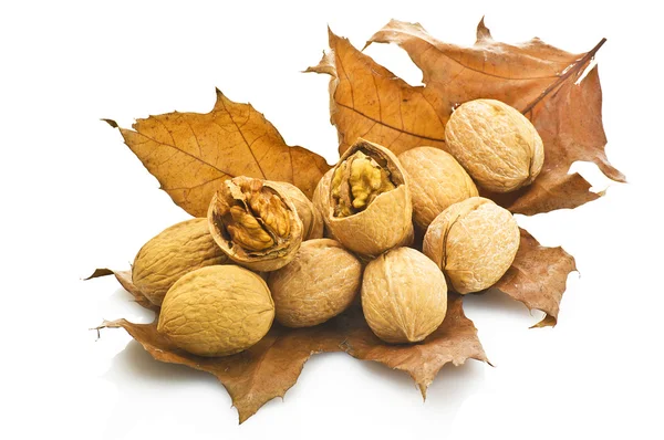 Волоські горіхи на осінньому листі — стокове фото