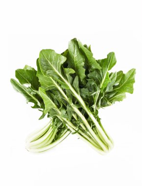 Chard clipart