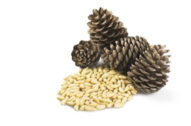 Pine nuts clipart