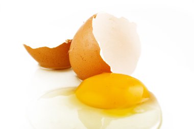 Raw egg clipart