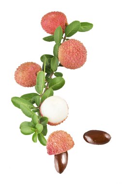 Lychee clipart