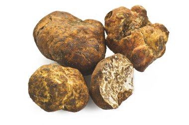 White truffle clipart