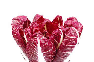 hindiba radicchio