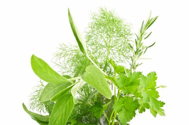 Parsley,sage and rosemary clipart