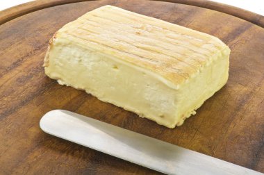 Taleggio cheese clipart